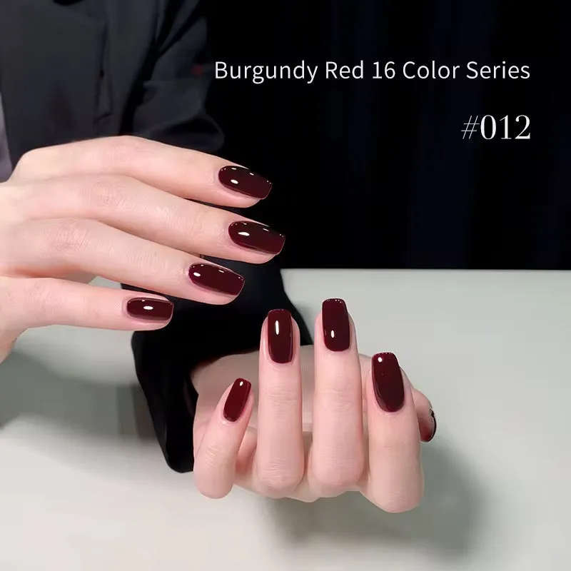 طلاء أظافر جل 16 لونًا  16 Colors Gel Nail Polish