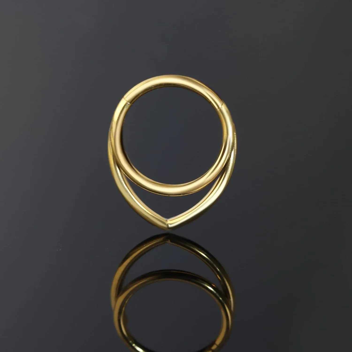 16g Septum Ring Hoops: Surgical Steel Double Ring Nose Rings, Hinged Segment Nose Lips Helix Cartilage Clicker Hoop Earrings Daith Piercing Rings for Women Men 8mm 10mm