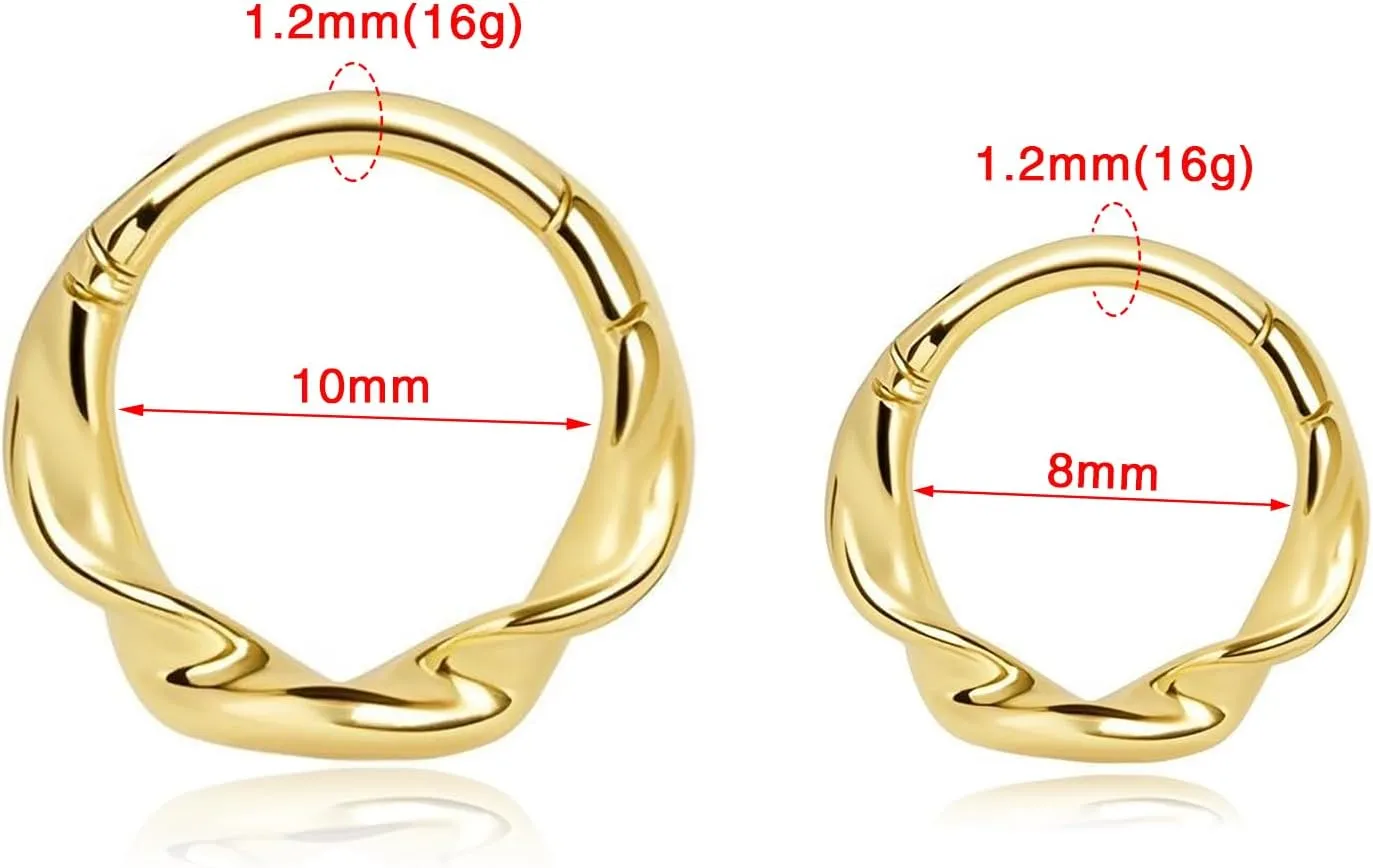 16g Twist Septum Ring Hoops: Surgical Steel Nose Rings, Hinged Segment Nose Lips Helix Cartilage Clicker Hoop Earrings Daith Piercing Rings for Women Men 8mm 10mm