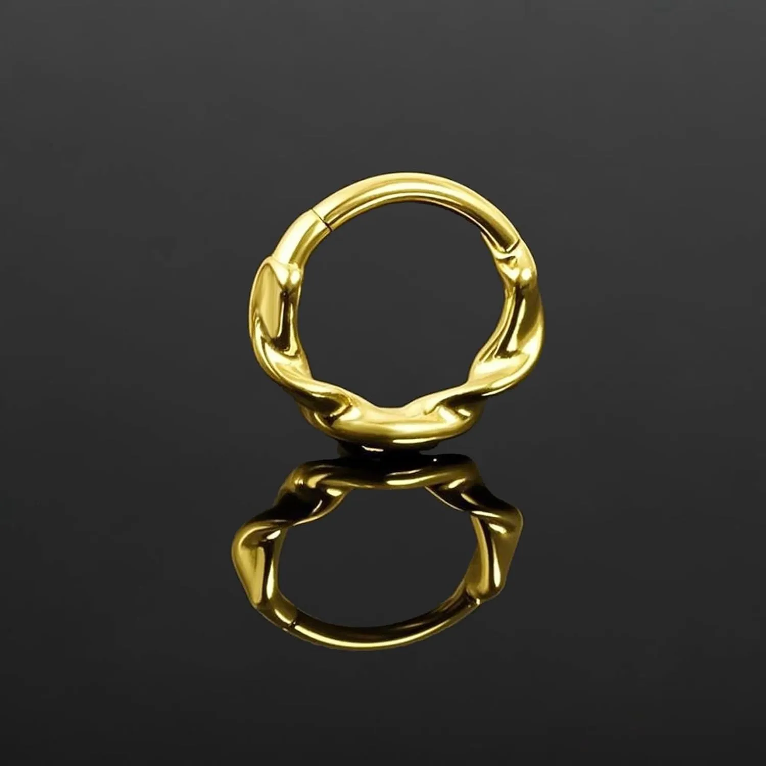 16g Twist Septum Ring Hoops: Surgical Steel Nose Rings, Hinged Segment Nose Lips Helix Cartilage Clicker Hoop Earrings Daith Piercing Rings for Women Men 8mm 10mm