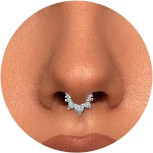 Btysun Nose Rings for Women, Septum Hinged Hoop 16G Nostril Helix Cartilage Earrings, Tragus Rock Conch Lip Daith Piercing Jewelry 8MM 10MM