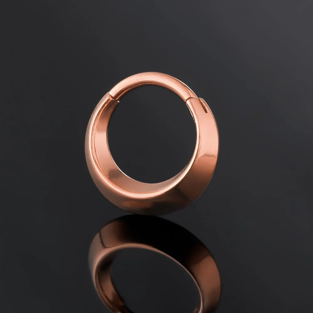 Nose Rings Hoops 16G: 316L Stainless Steel Septum Rings Hoops Gold, Hinged Segment Nose Lips Helix Cartilage Clicker Hoop Earrings Piercing Rings for Women Men 8mm