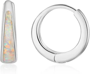 Silver & Gold Earrings for Women Trendy Opal Huggie Earrings Small Gold Hoop Earring 14k Gold Plated Opal Jewelry Birthday Gifts for Women Mom Her