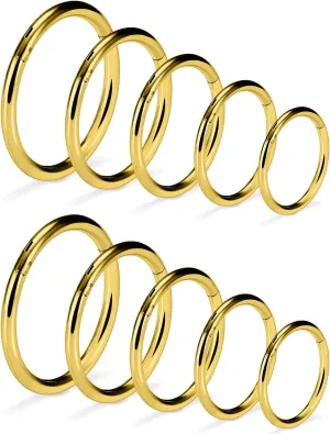 Vsnnsns 14G 16G Septum Nose Rings Hoops Lip Ring Piercing Jewelry 316L Surgical Steel Hinged Segment Clicker Cartilage Tragus Helix Conch Rook Daith Lobe Earrings Hoops Piercing Jewelry for Women Men
